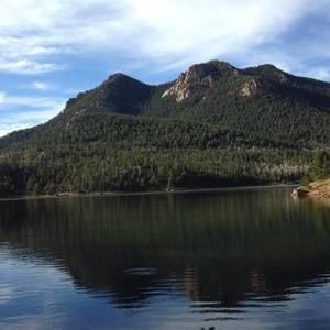 Meet your Posher, Travis